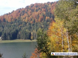 hotel-p3m-16-camere-pe-transfagarasan-in-arefu-piscul-negru-ag-51