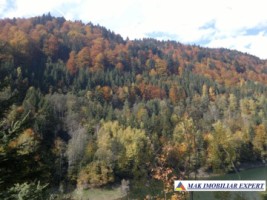 hotel-p3m-16-camere-pe-transfagarasan-in-arefu-piscul-negru-ag-53