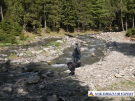 hotel-p3m-16-camere-pe-transfagarasan-in-arefu-piscul-negru-ag-69