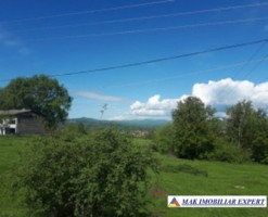 vand-teren-2946-mp-intravilan-pe-cretisoara-campulung-arges-4