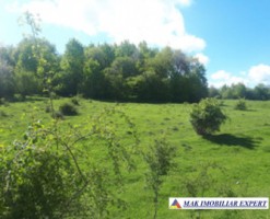 vand-teren-2946-mp-intravilan-pe-cretisoara-campulung-arges-5