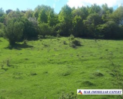 vand-teren-2946-mp-intravilan-pe-cretisoara-campulung-arges-8