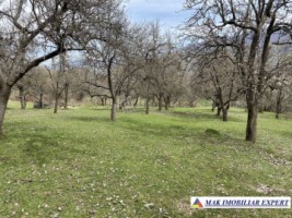 teren-22-ha-intraextravilan-in-corbi-arges-1