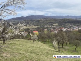 teren-22-ha-intraextravilan-in-corbi-arges-2