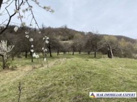 teren-22-ha-intraextravilan-in-corbi-arges-0