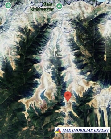 teren-pasune-alpina-6375-mp-in-nucsoara-arges-3