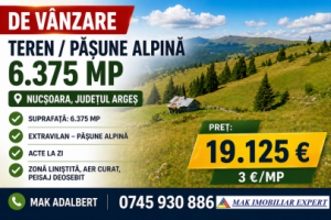 teren-pasune-alpina-6375-mp-in-nucsoara-arges-0
