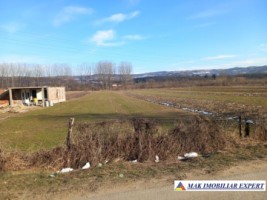 teren-intraextravilan-2500-mp-mihaesti-arges-ideal-pentru-constructii-si-agricultura-2