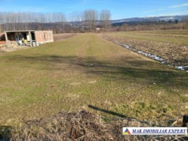 teren-intraextravilan-2500-mp-mihaesti-arges-ideal-pentru-constructii-si-agricultura-1