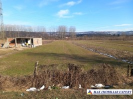 teren-intraextravilan-2500-mp-mihaesti-arges-ideal-pentru-constructii-si-agricultura-3