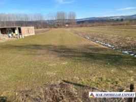 teren-intraextravilan-2500-mp-mihaesti-arges-ideal-pentru-constructii-si-agricultura