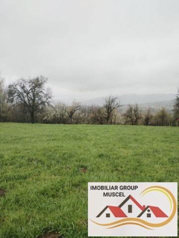 vanzare-teren-intravilan-in-suprafata-de-2943-mp-in-campulung-cu-o-priveliste-panoramica-spre-munti-in-campulung-la-pretul-de-35316-euro-negociabil-11