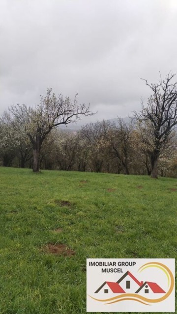 vanzare-teren-intravilan-in-suprafata-de-2943-mp-in-campulung-cu-o-priveliste-panoramica-spre-munti-in-campulung-la-pretul-de-35316-euro-negociabil-10