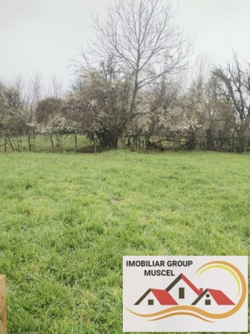 vanzare-teren-intravilan-in-suprafata-de-2943-mp-in-campulung-cu-o-priveliste-panoramica-spre-munti-in-campulung-la-pretul-de-35316-euro-negociabil-8