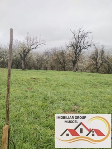 vanzare-teren-intravilan-in-suprafata-de-2943-mp-in-campulung-cu-o-priveliste-panoramica-spre-munti-in-campulung-la-pretul-de-35316-euro-negociabil-9