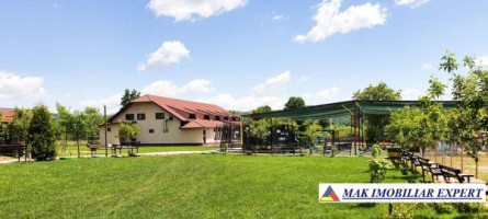 parc-de-distractie-de-vanzare-15-ha-pietrosani-domnesti-arges
