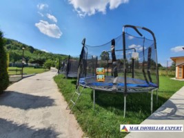 parc-de-distractie-de-vanzare-15-ha-pietrosani-domnesti-arges-5