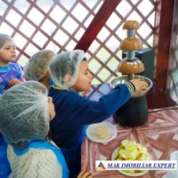 parc-de-distractie-de-vanzare-15-ha-pietrosani-domnesti-arges-10