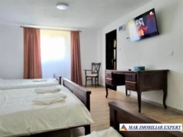 parc-de-distractie-de-vanzare-15-ha-pietrosani-domnesti-arges-19