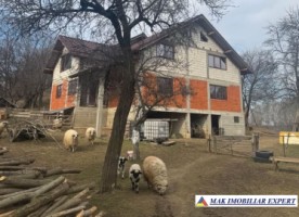vila-4-came-mansarda-teren-5000-mp-in-chilii-mioarele-ag-3