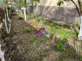 inchiriez-apartament-la-casa-3-camere-dec-pet-friendly-zona-strand-16