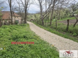 vanzare-teren-in-straja-1295-mp