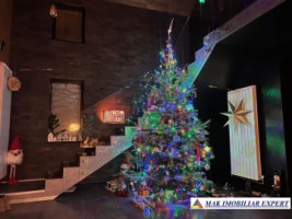 vila-4-camere-teren-1000-mp-in-leresti-arges-9