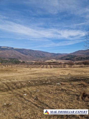 vand-teren-intravilan-6000-mp-in-nucsoara-arges-1