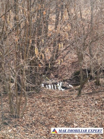 vand-teren-intravilan-6000-mp-in-nucsoara-arges-5