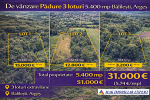 padure-3-loturi-in-balilesti-arges-0