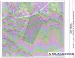 teren-3400-mp-de-vanzare-in-vacarea-mihaesti-arges-2