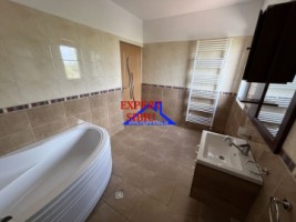 inchiriez-casa-tip-duplex-4-camere-zona-turnisor-15