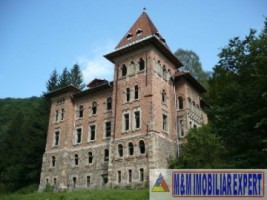 castel-50-camere-teren-8800-mp-zlatna-ab
