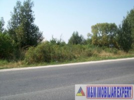 teren-economic-2629-mp-intravilan-campulung-1