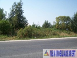 teren-economic-2629-mp-intravilan-campulung-2