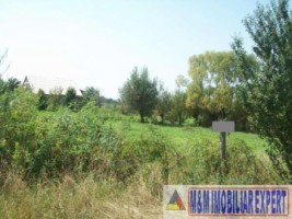 teren-economic-2629-mp-intravilan-campulung-3