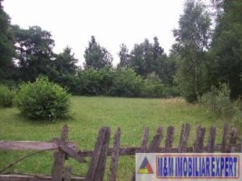 deces-proprietara-1