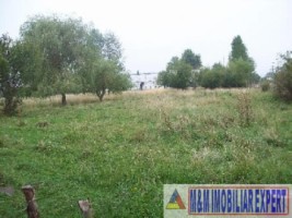deces-proprietara-3