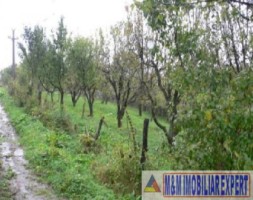 teren-1360-mp-intravilan-campulung-muscel-flamanda-arges-0