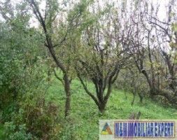 teren-1360-mp-intravilan-campulung-muscel-flamanda-arges-1