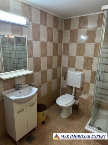 complex-afacere-la-cheie-teren-2550-mp-in-piertosani-domnesti-ag-46