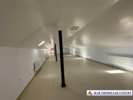 complex-afacere-la-cheie-teren-2550-mp-in-piertosani-domnesti-ag-49