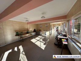 complex-afacere-la-cheie-teren-2550-mp-in-piertosani-domnesti-ag-51