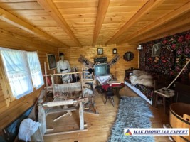 complex-afacere-la-cheie-teren-2550-mp-in-piertosani-domnesti-ag-52