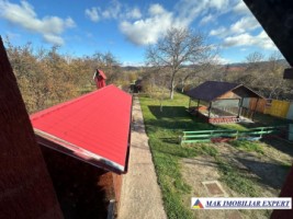 complex-afacere-la-cheie-teren-2550-mp-in-piertosani-domnesti-ag-68