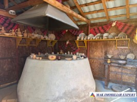 complex-afacere-la-cheie-teren-2550-mp-in-piertosani-domnesti-ag-69