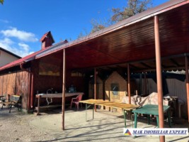 complex-afacere-la-cheie-teren-2550-mp-in-piertosani-domnesti-ag-76
