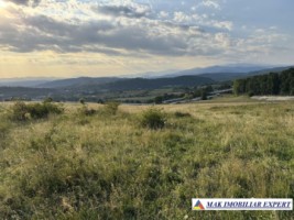 oportunitate-teren-1-ha-pe-mateias-valea-mare-pravat-arges-1