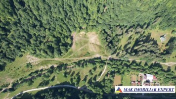 teren-intravilan-5600-mp-de-vanzare-in-berevoiesti-arges-6