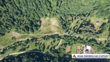 teren-intravilan-5600-mp-de-vanzare-in-berevoiesti-arges-5